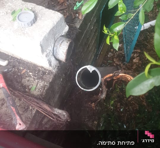 צינור פתוח עם שורשים לידו, כלי עבודה אדום